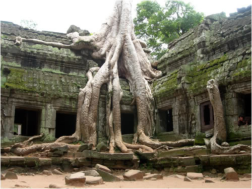 Φύση και πολιτισμός