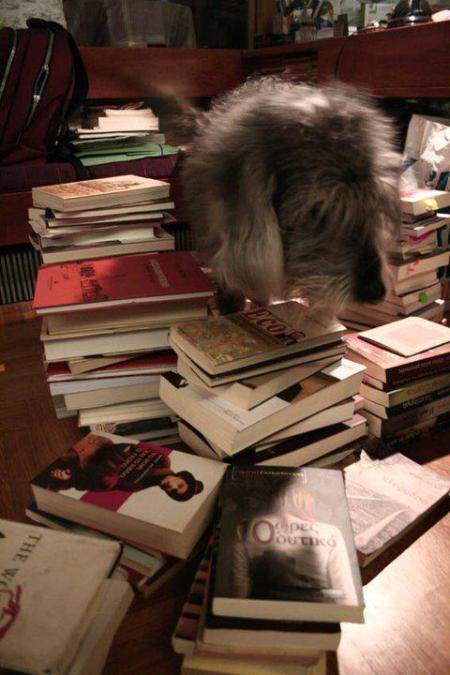 298850_276373765715434_1373263967_n