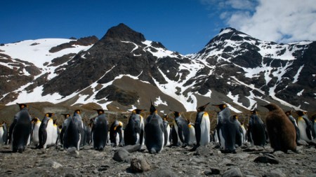 Frame from the short film "Terra Sacra Time Lapses" by Sean F. White
