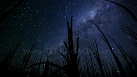 Frame from the short film "Terra Sacra Time Lapses" by Sean F. White