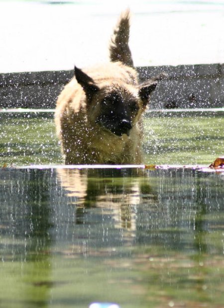 37890_1483991456483_1563690_n