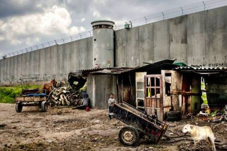 1235532_10151929050903313_1711421773_n