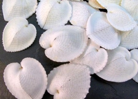 3b2e88ee6f02e20d1e9b87584a8b6be2