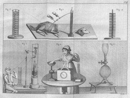 experiments_with_various_devices_essai_th_orique_et_exp_rimental_sur_le_galvanisme_1804