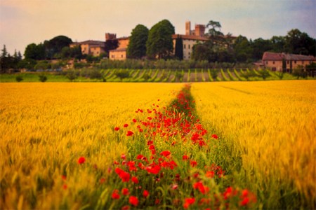 Allard Schager - Tuscany_Dreamland