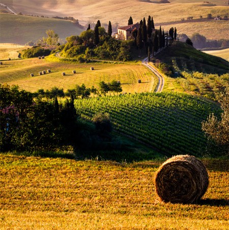 Podere_Belvedere