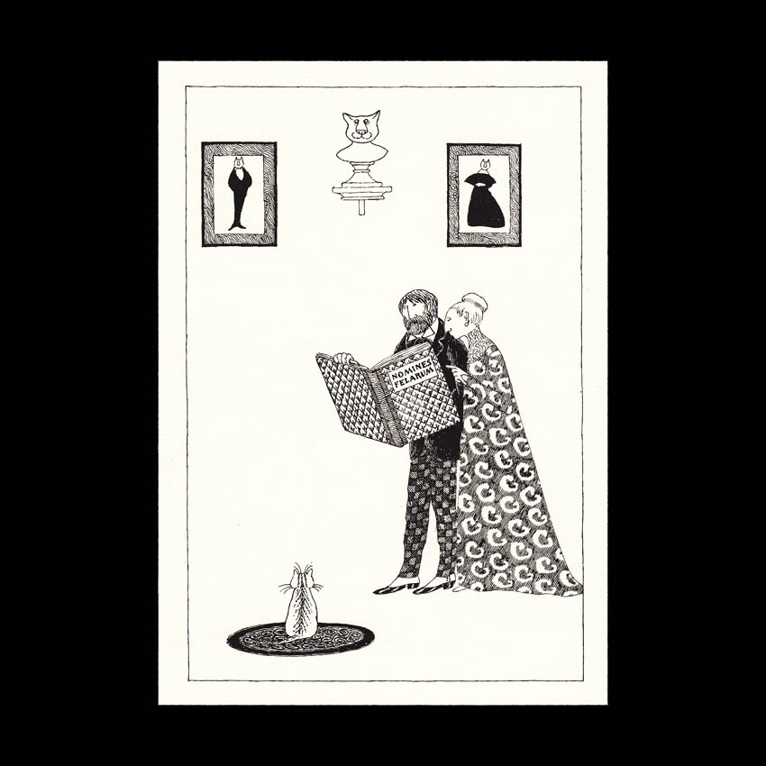 Το βάφτισμα των&nbsp;γάτων