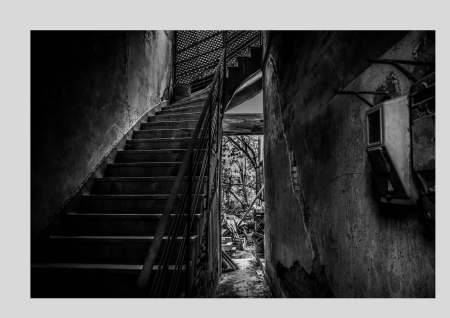 Η ΜΥΣΤΙΚΗ ΖΩΗ ΤΩΝ ΠΟΙΗΜΑΤΩΝ_Page_10