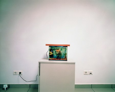 Γυάλα με χρυσόψαρο στη ΓΑΔΑ, τμήμα Απάτης