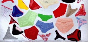 panties