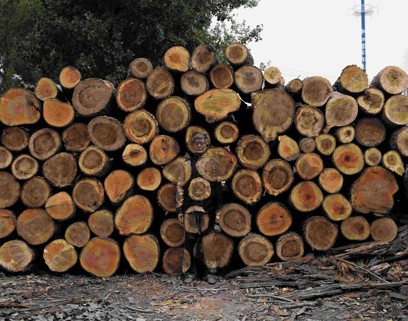 22 liu-bolin-art-hi-res-hide-in-the-city-china-camouflage-painting-11