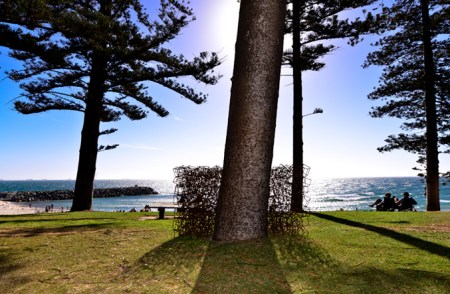 home_images_JenniferCochrane_CYee