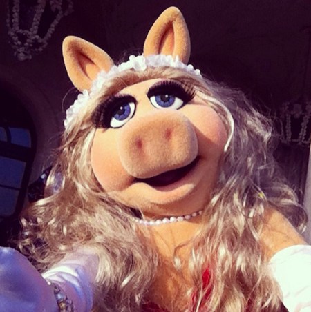 piggy