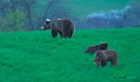 10014977_10203492986035107_8363454917709450772_o