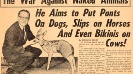 10303761_10203664813120511_3499238869311848684_n