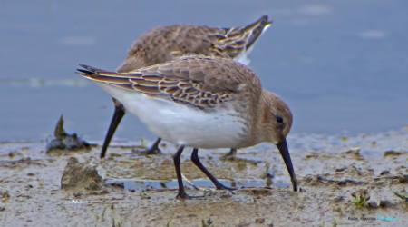 1397028_10202382301148679_2027100677_o