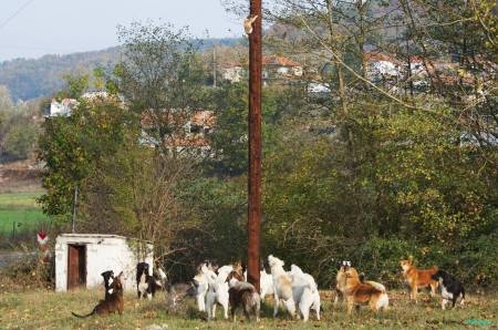 1397879_10202292756670123_703457761_o