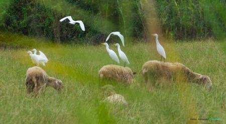 1398182_10202383365135278_1304322073_o