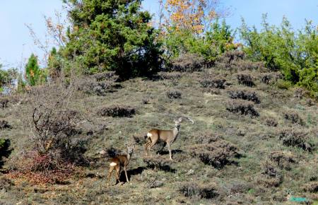 1417719_10202438573715458_694319821_o