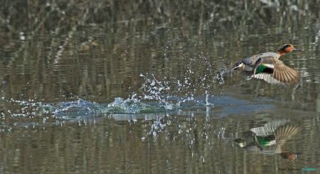 1496336_10202913153419654_981419900_o