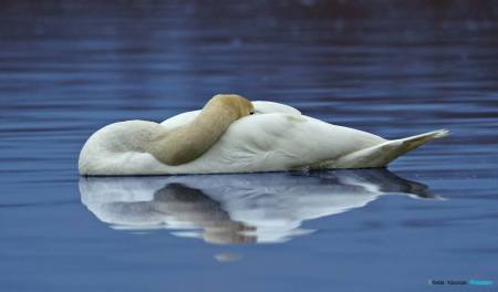 1506365_10202887400015835_131396836_o