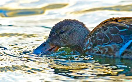 1614246_10202944676407709_332676452_o