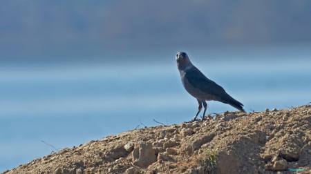 1799006_10203147114628538_402705183_o