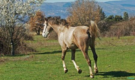 1900705_10203367061167064_192582408_o