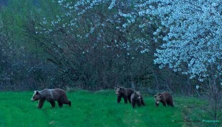 823385_10203492983915054_3440452844472410227_o