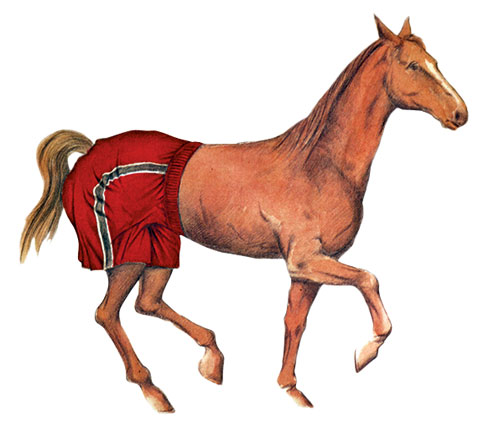 «Οργανισμός για την Απρέπεια των Γυμνών Ζώων»