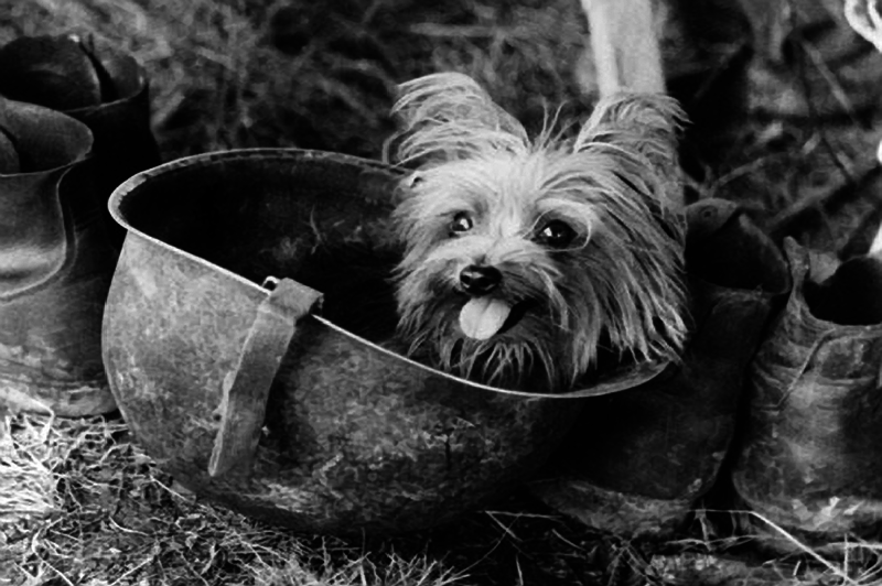 Στρατιώτης Smoky