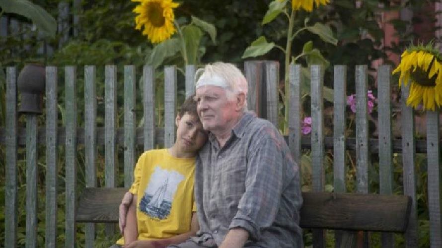 Σύγχρονος ρώσικος κινηματογράφος στην&nbsp;Αθήνα