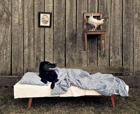 children-family-photography-rural-sebastian-luczywo-17