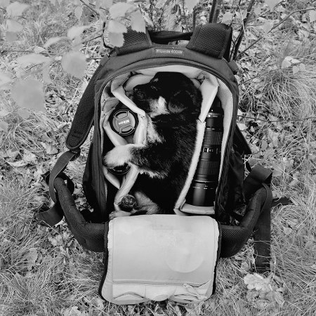 children-family-photography-rural-sebastian-luczywo-7