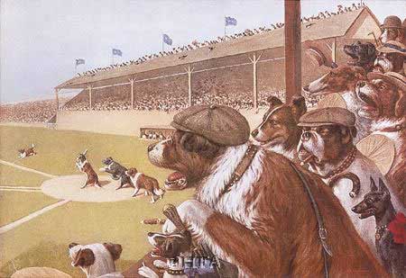 dogs-baseball1