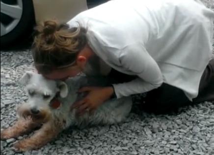 Η σκυλίτσα που&nbsp;λιποθύμησε