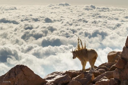 Bad-Hair-Day-1240x827-fbe1fe