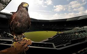 αρχείο λήψης