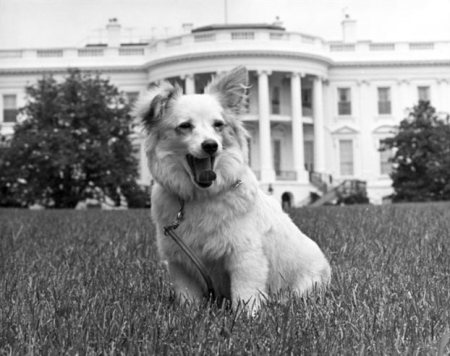 F3DD72B4C416B9B2100A70C0F2154B27