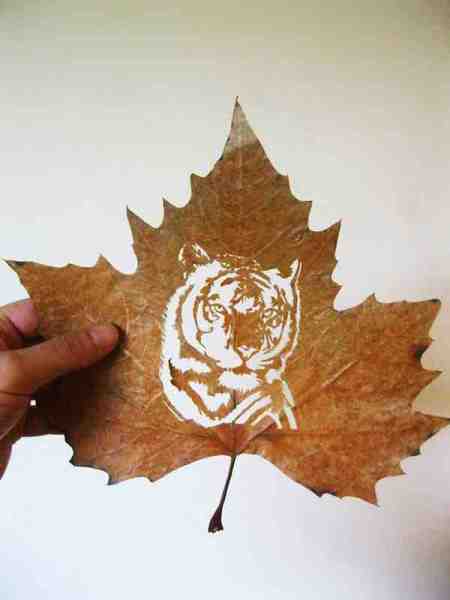 leaf-cut-art-by-omad-asadi-2