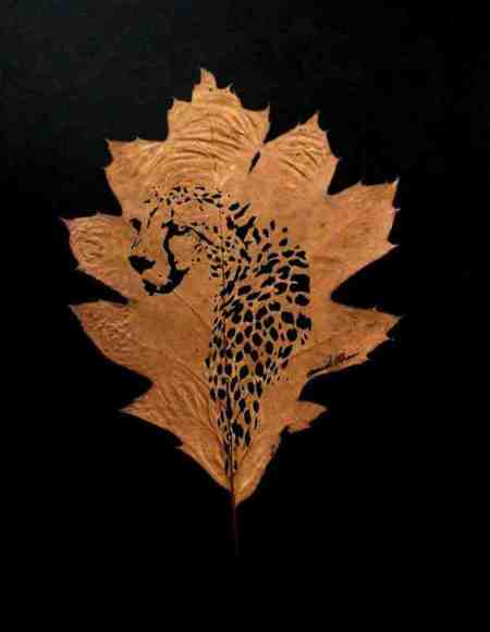 leaf-cut-art-by-omad-asadi-4