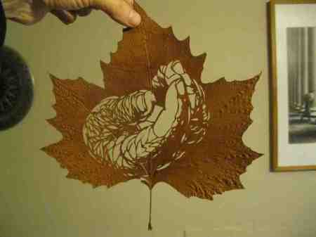 leaf-cut-art-by-omad-asadi-5