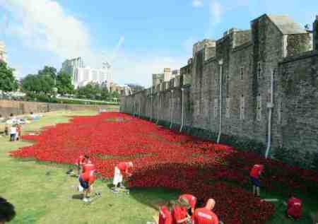 o80s6hqrita5azhad9nm