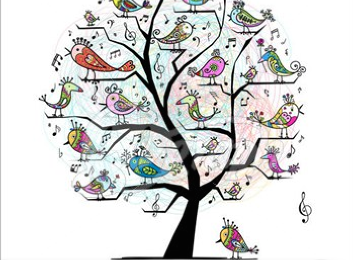 Το λένε χιλιάδες πουλιά:&nbsp;Μαρία