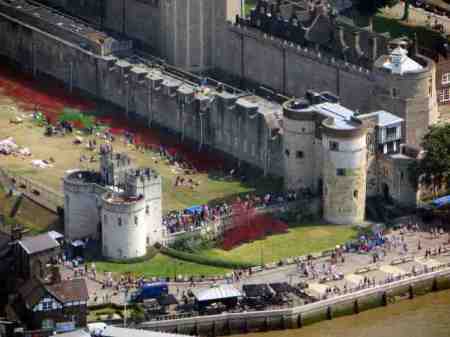 v6wub6vx4zabmmrrofpl