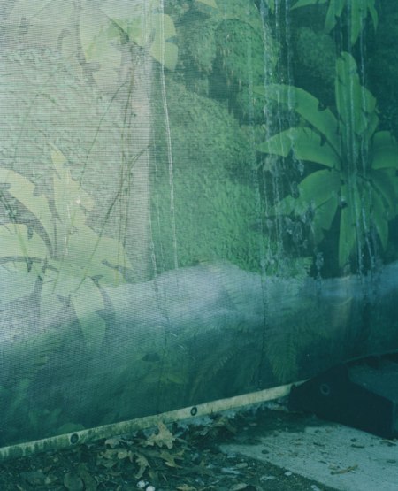 14Samantha_Friend_Wildlife-2014