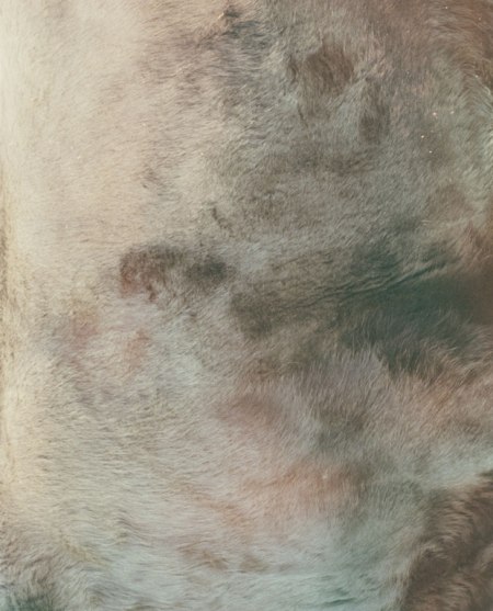 3Samantha_Friend_Texture-2-2014