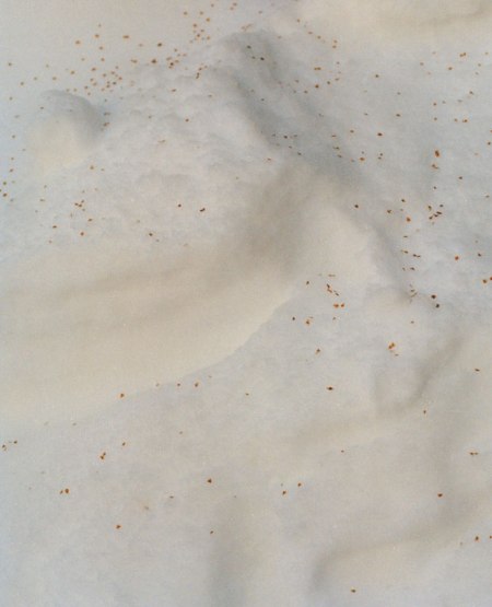 5Samantha_Friend_Cream-2014