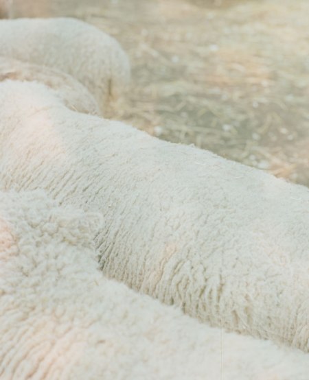 9Samantha_Friend_Texture-3-2014