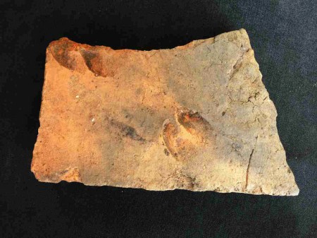 Roman-tile-sheep-goat-prints